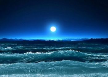 Интересные факты, о которых вы могли не знать, 60 фото