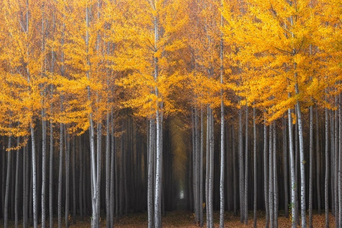 20 фотографий, на которых осень особенно прекрасна