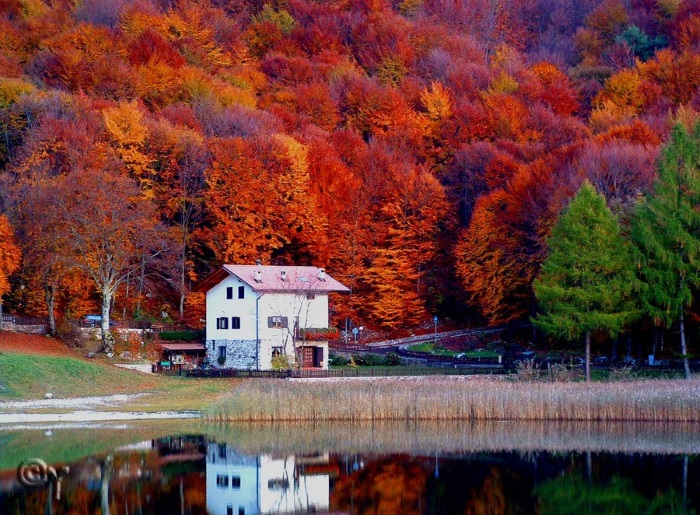 20 фотографий, на которых осень особенно прекрасна
