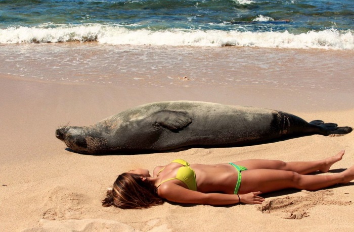 Funniest Photos from the Beach