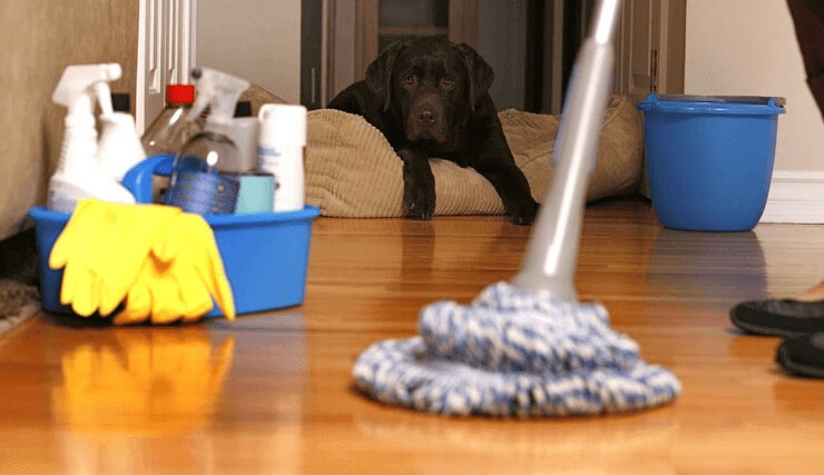20 правил качественной уборки дома