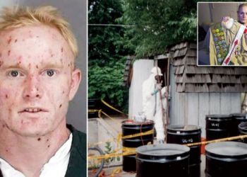 Как школьник построил в гараже атомный реактор