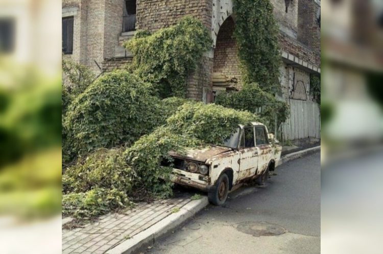 30 фотодоказательств того, что природу невозможно победить