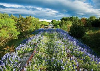 30 фотодоказательств того, что природу невозможно победить