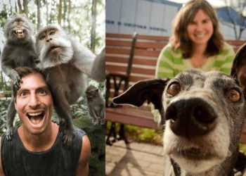 40 любопытных животных, которым нравится быть в центре внимания