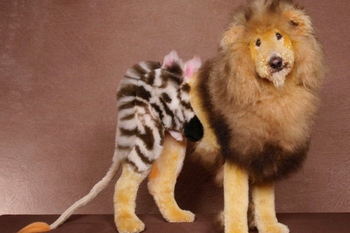 Необычные стрижки котов и собак, 30 фото