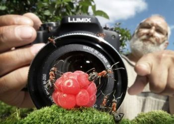 Фото, открывающие совершенно другие стороны мирового бытия