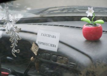 30 фотоприколов, когда сразу видно женщину за рулем