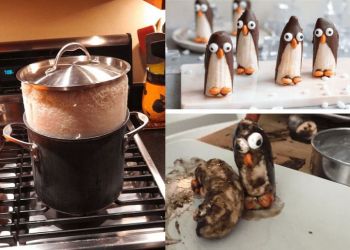 Кухонные фиаско во всей своей красе, 40 смешных фотографий