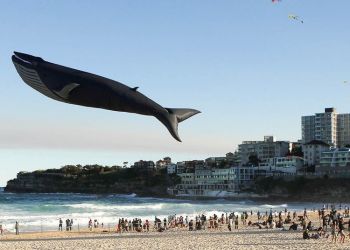 без Фотошопа