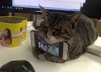 30 гениальных лайфхаков для решения проблем