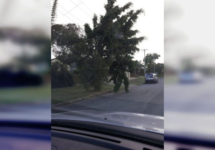 Сила воображения: 30 снимков, где видишь то, чего на самом деле нет