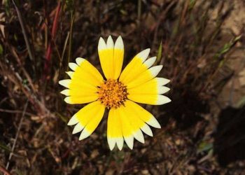 30 фотографий, идеальных до боли