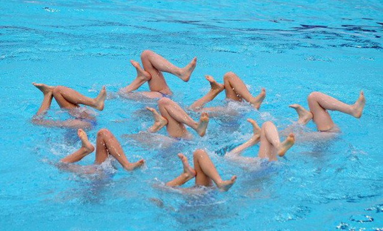 30 Proofs That Synchronized Swimming Is the Funniest Sport