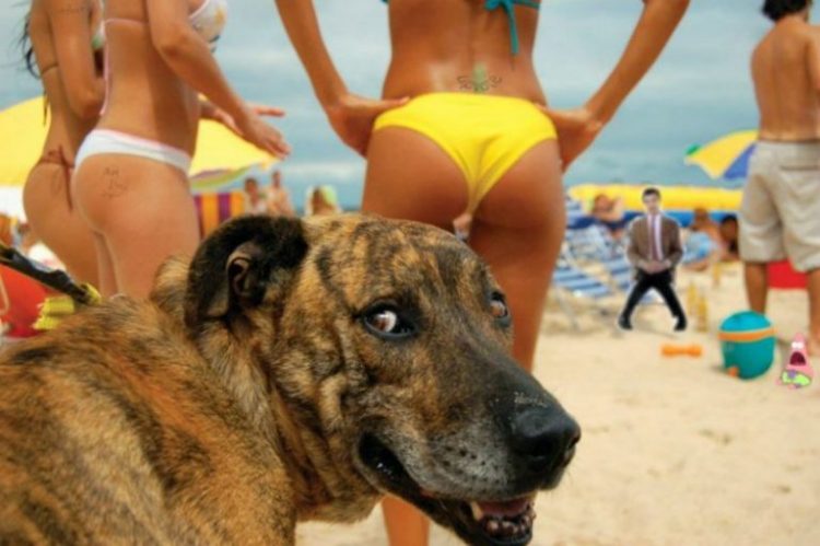 Funniest Photos from the Beach