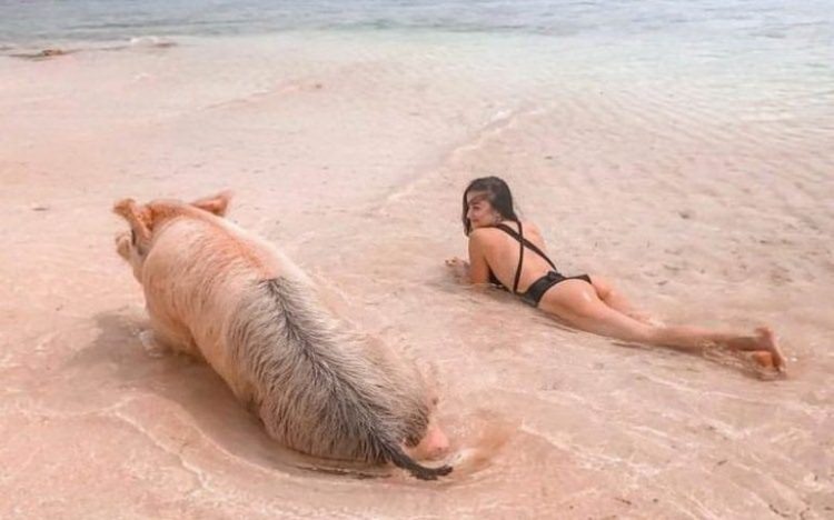 Funniest Photos from the Beach