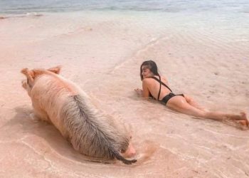 Funniest Photos from the Beach