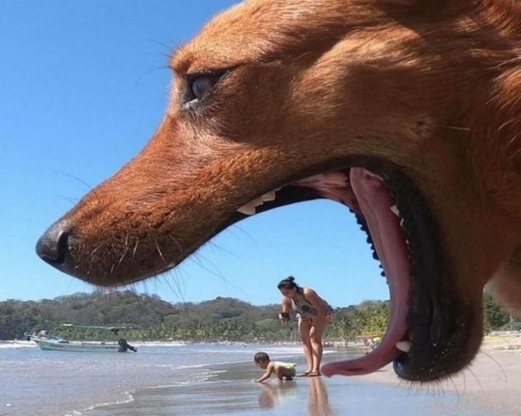 Top Funny Photos Captured at the Perfect Moment