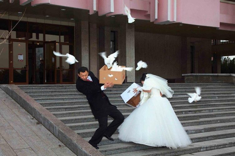 Say Cheese and Laugh Out Loud: The Funniest Wedding Photos of All Time
