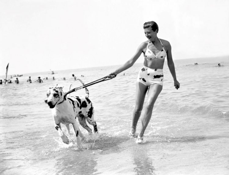 Retro Beach Reverie: Vibrant Snapshots from Days Gone By