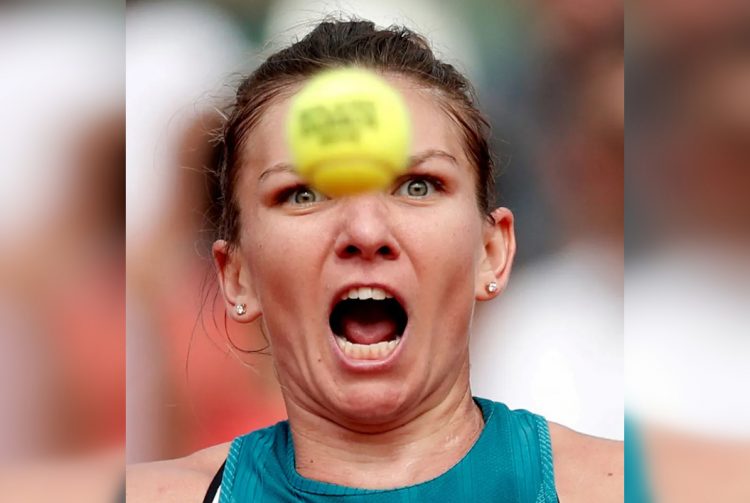 A Collection of Joyful and Lively Moments on the Women's Court