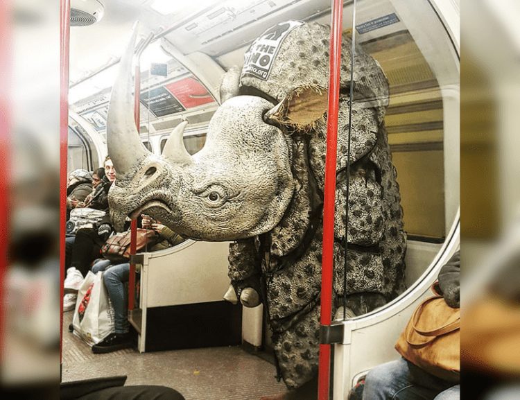 Subterranean Eccentrics: Quirky and Unpredictable Individuals in the Subway